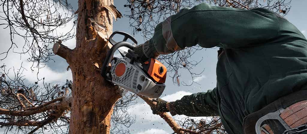 tala arboles altura zona norte